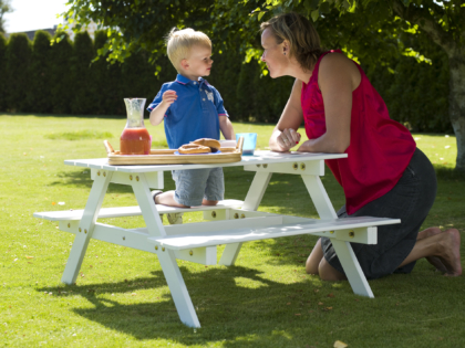 Picnic Mini